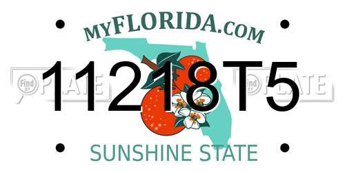 11218T5 Florida License Plate