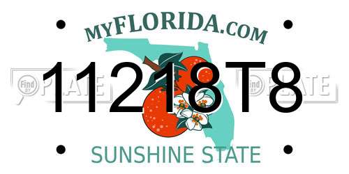 11218T8 Florida License Plate
