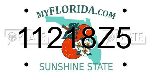 11218Z5 Florida License Plate