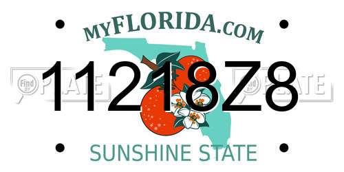11218Z8 Florida License Plate
