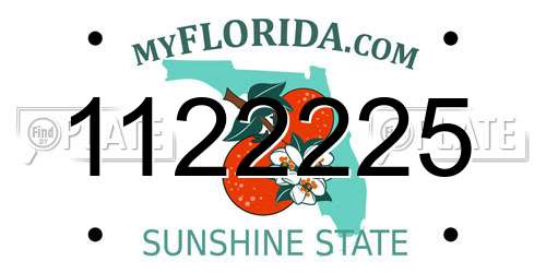 1122225 Florida License Plate