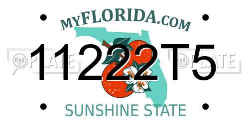11222T5 Florida License Plate