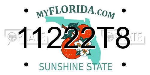 11222T8 Florida License Plate