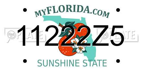 11222Z5 Florida License Plate