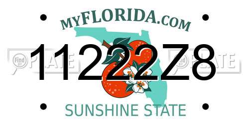 11222Z8 Florida License Plate