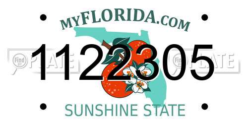 1122305 Florida License Plate