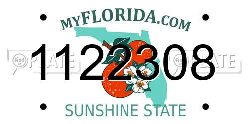 1122308 Florida License Plate