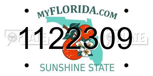 1122309 Florida License Plate