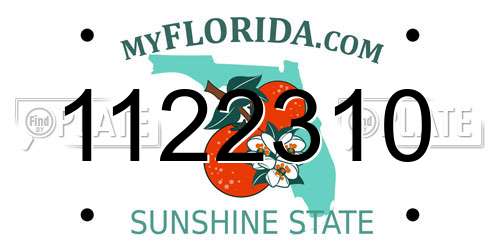 1122310 Florida License Plate