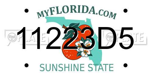 11223D5 Florida License Plate