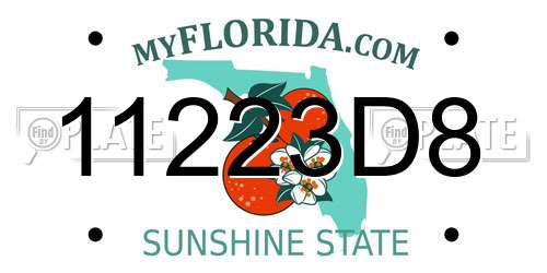 11223D8 Florida License Plate
