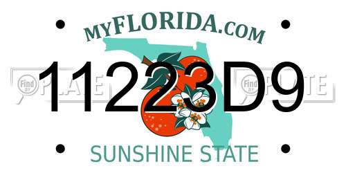 11223D9 Florida License Plate