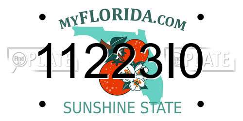 11223I0 Florida License Plate