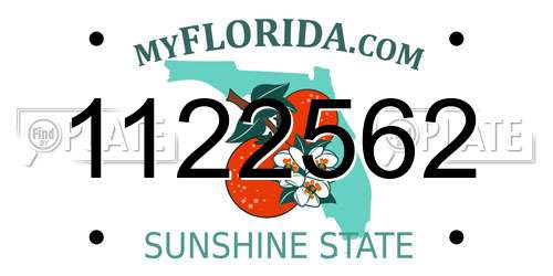 1122562 Florida License Plate