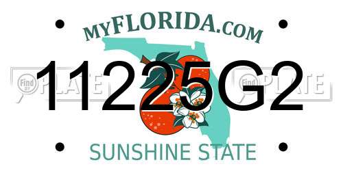 11225G2 Florida License Plate