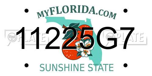 11225G7 Florida License Plate