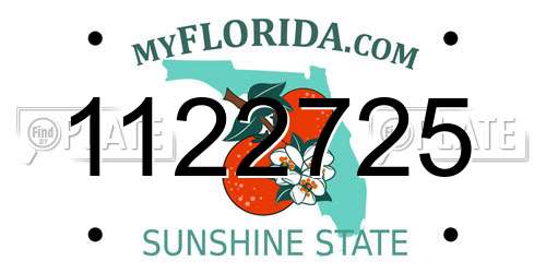 1122725 Florida License Plate