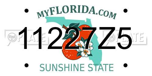 11227Z5 Florida License Plate