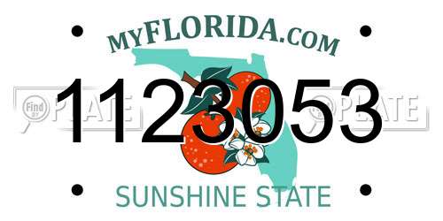 1123053 Florida License Plate