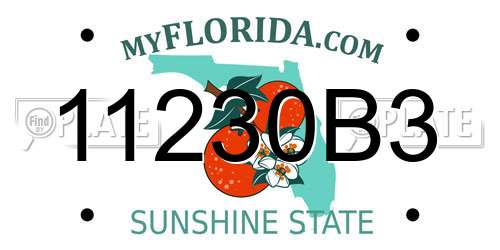 11230B3 Florida License Plate