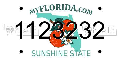 1123232 Florida License Plate