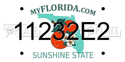 11232E2 Florida License Plate
