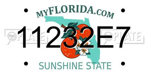 11232E7 Florida License Plate