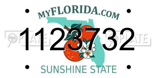 1123732 Florida License Plate