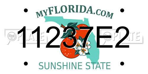 11237E2 Florida License Plate