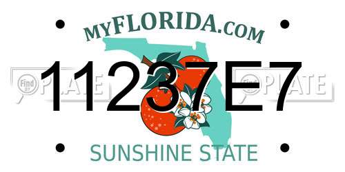 11237E7 Florida License Plate