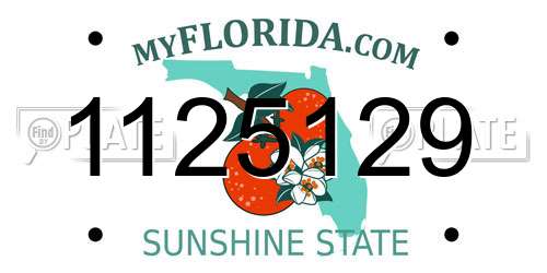 1125129 Florida License Plate