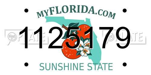 1125179 Florida License Plate