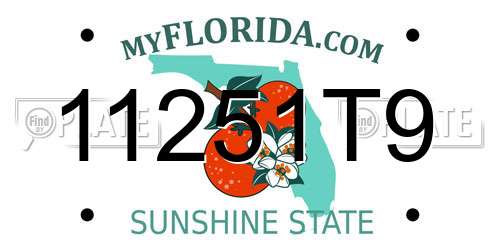 11251T9 Florida License Plate