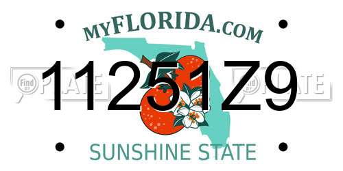 11251Z9 Florida License Plate
