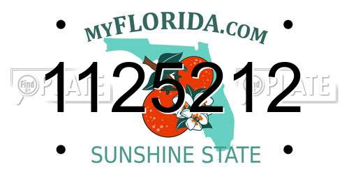 1125212 Florida License Plate