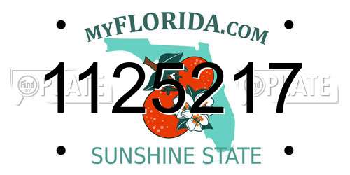 1125217 Florida License Plate