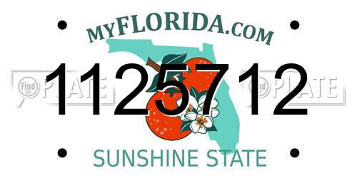 1125712 Florida License Plate