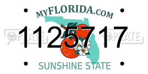1125717 Florida License Plate