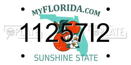 11257I2 Florida License Plate