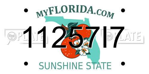 11257I7 Florida License Plate