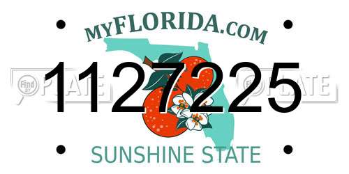 1127225 Florida License Plate