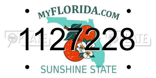 1127228 Florida License Plate