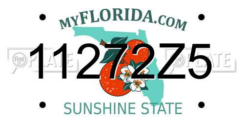 11272Z5 Florida License Plate