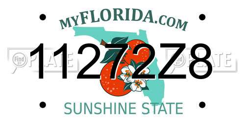 11272Z8 Florida License Plate