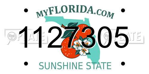 1127305 Florida License Plate