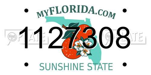 1127308 Florida License Plate