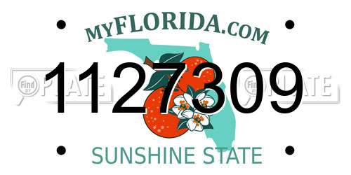 1127309 Florida License Plate