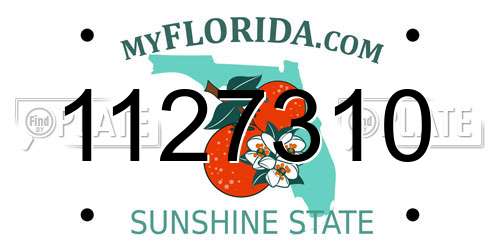 1127310 Florida License Plate