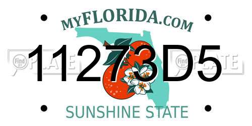 11273D5 Florida License Plate