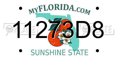 11273D8 Florida License Plate